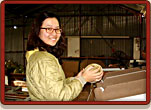 Packing the harvested fruit